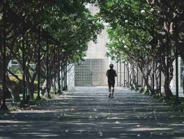 付费首发海角app——市场透视高能预警