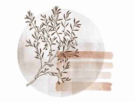 每日大赛黑料：高能瞬间趋势观察黑马突围